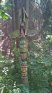 Ještě starší totem T.O. Roverů.
